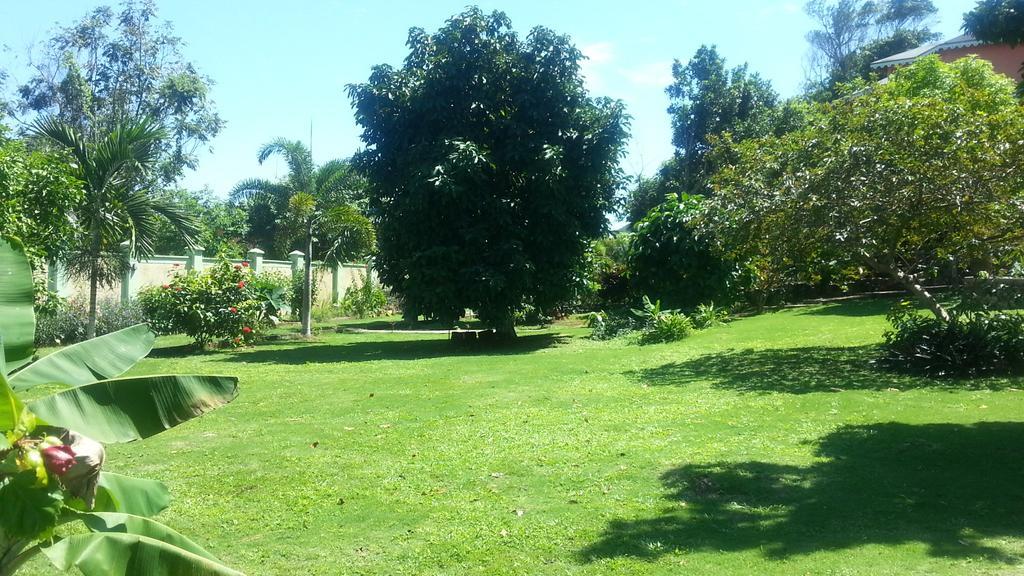 Pimento Lodge Resort Port Antonio Exterior photo