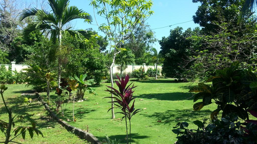 Pimento Lodge Resort Port Antonio Exterior photo