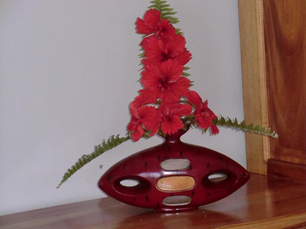 Pimento Lodge Resort Port Antonio Room photo
